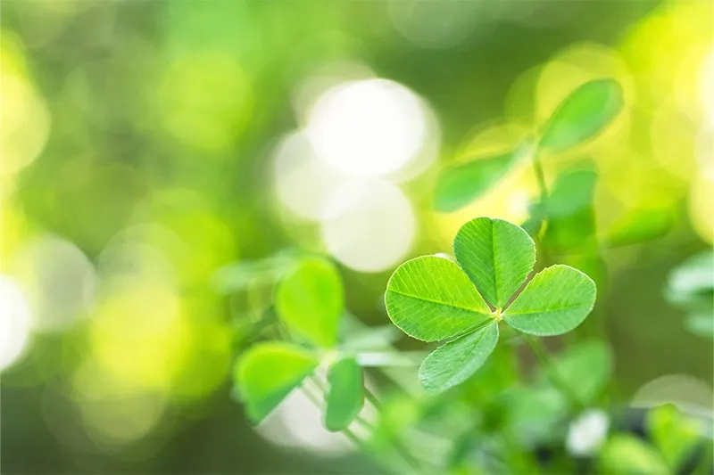 就労継続支援B型Huali