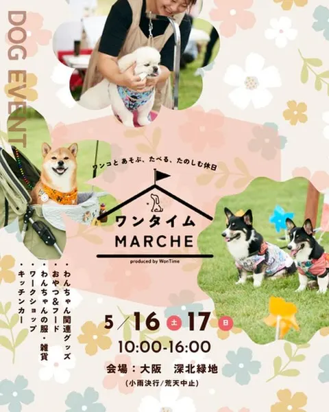 こんにちは🎶🐾