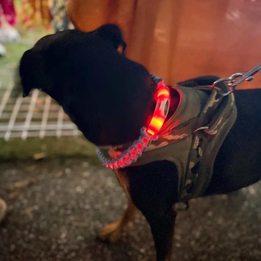 『滋賀県へ出店🔥』